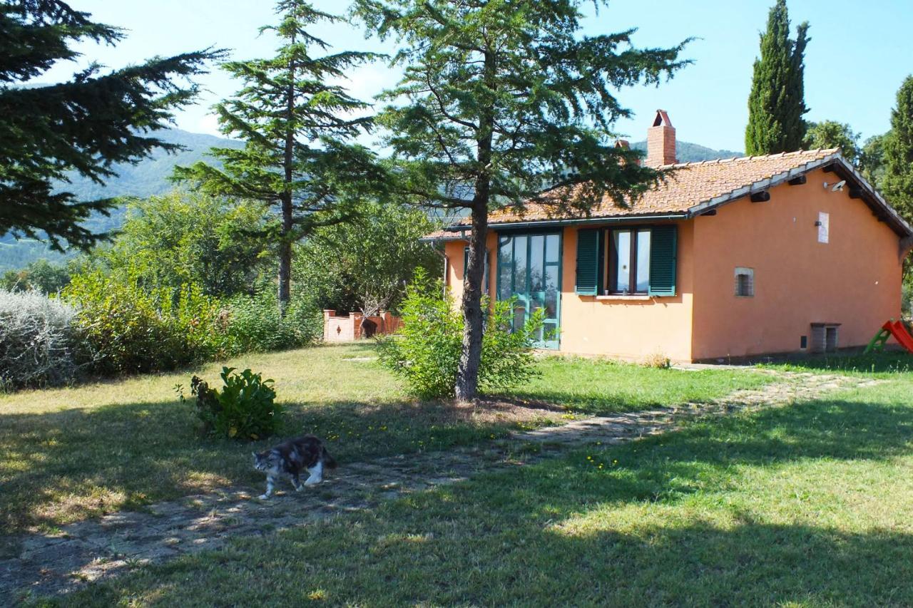 Az.Agr. Il Cavalleggero Campiglia dʼOrcia Exterior foto